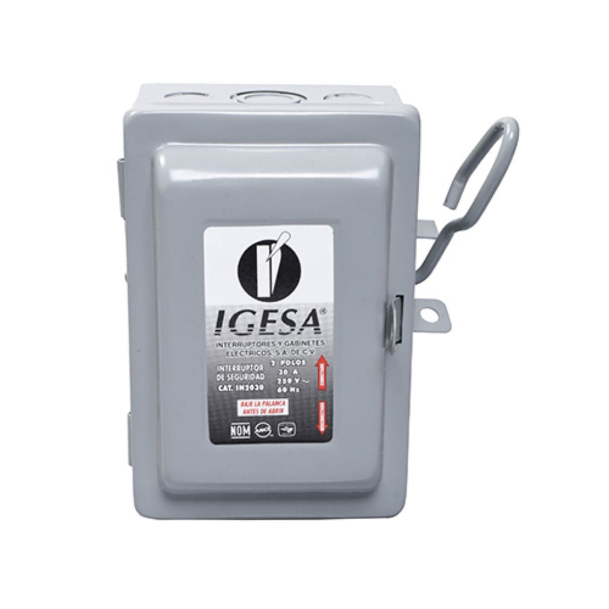 Interruptor De Seguridad 2 X 30 Igesa