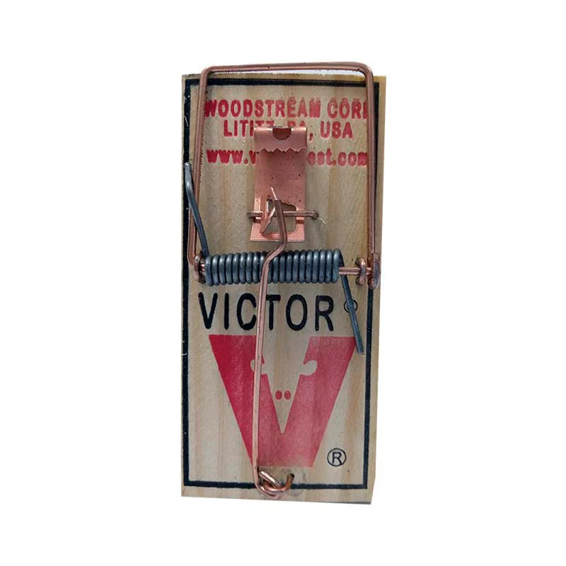 Trampa De Ratón Grande Víctor